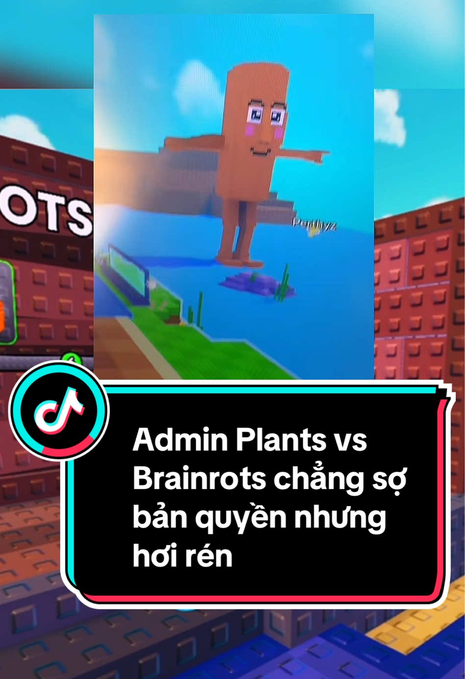 Admin Plants vs Brainrots chẳng sợ bản quyền nhưng hơi rén #roblox #mrain #plantsvsbrainrots #plantvsbrainrots 