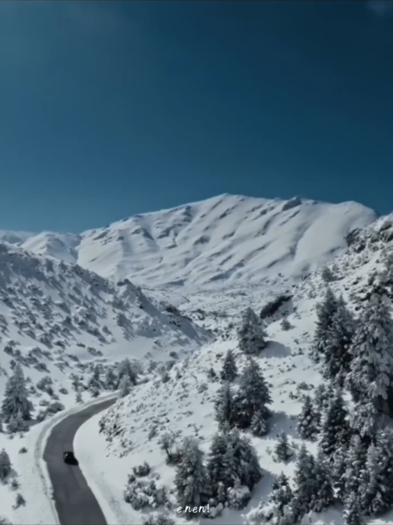 Singa Qu Emng ga bisa di banding2kan dengan siapapun, ini singa beda dengan yg lain nya,, multitalenta #handsome #wangyibo王一博💚 #bjxyszd_💚💛❤️🐢 #dancer #multitalentaartis 