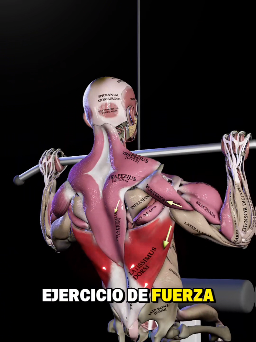 El ejercicio de Fuerza y la diabetes #motivacion #salud #gymrat #diabetestipo2 #inspiracion 