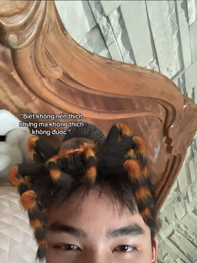 #TikTokAwardsVN #xuhuong #viral 