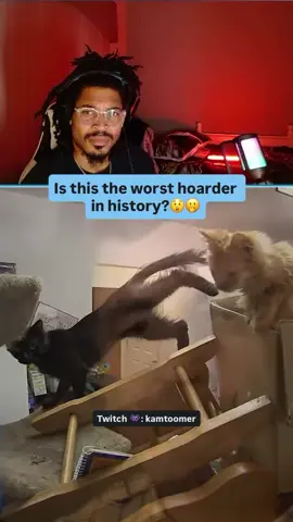 Cat lovers have 24 hours to respond 😷 #kamtoomer #reaction #clips #hoarder #fyp 