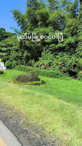 မြောင်းမြကနေချောင်းသာကိုဆိုင်ကယ်နဲ့သွားကြမယ်🛵