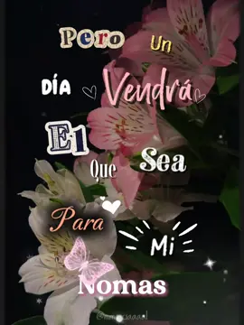 Pero un día vendraá… 🖤🌺 @Los Malagueña  #fyp #danza #music #mexico🇲🇽 #danzafolklorica 