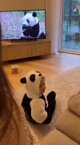Mama ik wil panda 🐼  #panda #sora #dutch #schattig #fy 