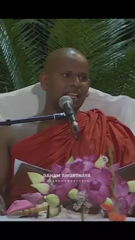 බුදුරජාණන් වහන්සේගේ දාන පාරමිතාට මාගේ නමස්කාරය වේවා! 🙏🏻🥹 • • • #dahamamurthaya #darmadeshana #saddaseela_thero #nirvana #foryoupage 