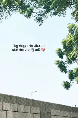 কিছু গল্পের শেষ থাকে না মাঝ পথে সমাপ্তি ঘটে.!❤️‍🩹 #foryou #fyp #sadcaptionvideo0 #emotionalvideo #ক্যাপশন 
