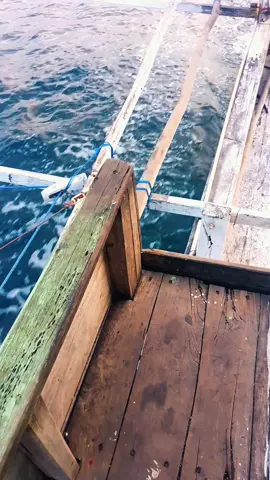 #CapCut 
