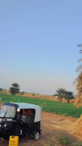 العز اخوان💪♥️#الرسمي🧸❤️@معاذ قرافي  #السودان_مشاهير_تيك_توك🇦🇪🇦🇪 #مشاهير_تيك_توك_مشاهير_العرب #محظور_من_الاكسبلور🥺 #لايكات_الاكسبلور_متابعه @عبدالرحمن ودارقو شاويشيه @+249🇸🇩ⓜⓘⓢⓗⓐⓁمشعل 