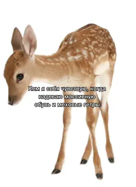 #horsegirl #гетры #outfit #fyp 