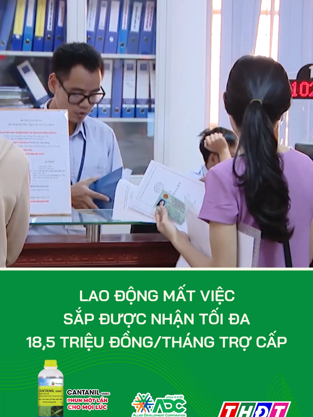 Lao động mất việc sắp được nhận tối đa 18,5 triệu đồng/tháng trợ cấp #thdt #dongthap #dongthaptv #tiktokthdt #mcv #truyenhinhdongthap #tiktoknews