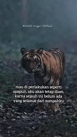 #fypviralシ #fypシ゚ #fyp 