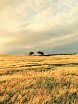 old vibes 2019😔😔#brandafyp#fypシ゚#oldvibes#foryoupage