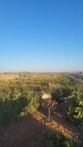 #keşfet #keşfet 