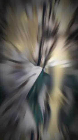 chọn Cơ Như Ngọc sẽ ổn hơn cái  chuông#trienchi#bachhop#xuhuong 