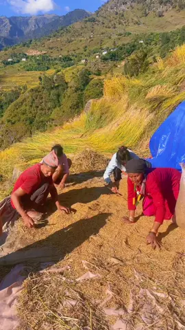 #happydeepavali #highlight #foryoupage❤️❤️ #surkhet #ramaroshan 