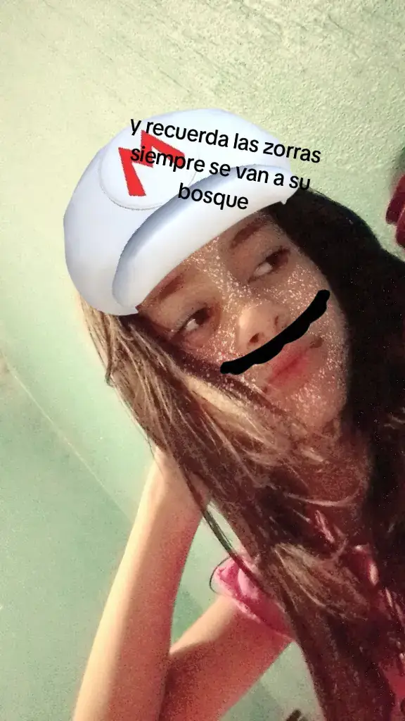 zorritas ya llegaron?