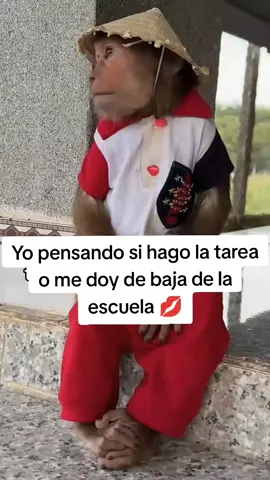 #recuerdos #potaxies🥑👄🥑 