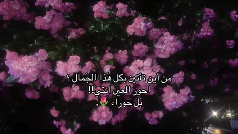 🌷🌷🌷🌷🌷🌷🌷🌷🌷🌷🌷.#لايك #فولو #اكسبلورexplore #yyyyyyyyyyyyyyyyyyyyyyyyyyyyyy #WheneverWhere❣️❣️❣️❣️❣️❣️ 