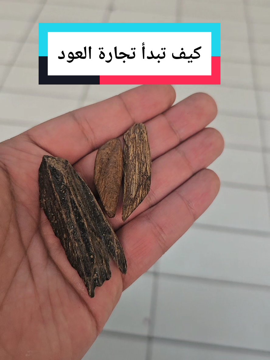 كيف تبداء تجارة العود #عود_تايقر #عود_مروكي 