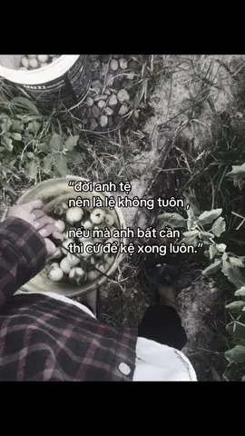 đời anh tệ.