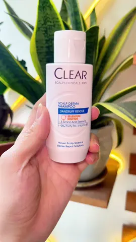 Dầu gội ngăn ngừa gàu nấm Clear #sachgau #hoptaccungUnilever #daugoiclear 