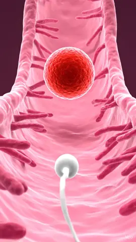 #PregnancyJourney #foryoupage❤️❤️ #videoviral 