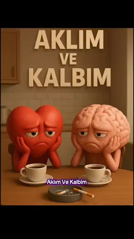 Herkese Tavsiye Ediyorum ☝️😉😉