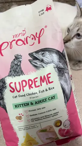 #อาหารแมวพรามี่ #อาหารแมว #อาหารเม็ดแมว #แมว 