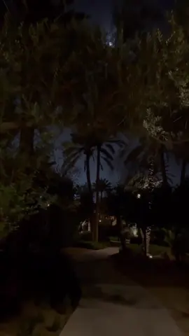 افضل مسار اتجاه الدرعيه🥹 #وادي_حنيفة #المسار_الرياضي #الرياض #explore #riyadh 