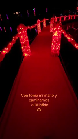 Octubre se pone de color naranja! 🍊 