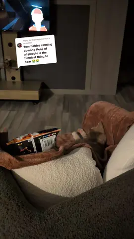 Replying to @shestaygolden20 in all honesty it's getting scary lmao cause idk maybe they see me watching and chilling then think ok she chillin maybe we should but bro it's every freaking time. they don't do this for no one else. sometimes they do it with Coreykenshin but not this long lmao. they're adorable tho. #orangecats #catsoftiktok #catlover #fyp #catmom 