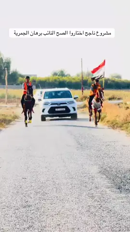 استقبال النائب برهان الجمرية 🧡🔥#المكتب_الإعلامي_برهان_الجبوري #حلبوسي_الصگر_دكتور_برهان_الجمريه_المهيري #الحلبوسي_رجل_الدولة #CapCut 
