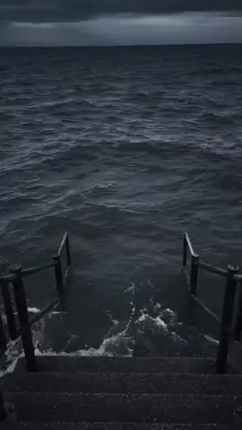 me gustaría disfrazarme del lorax #lorax #disfraz #caidaepica #meme #parati 