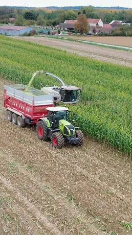 Silage 🌽#clemmetha 