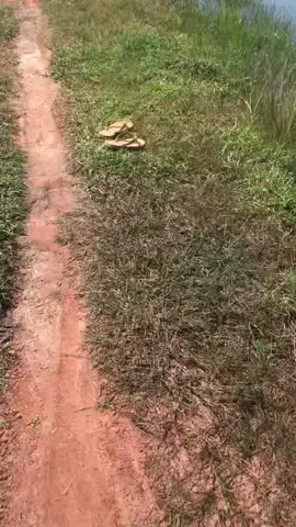 គាត់កំពុងសង្រ្គោះពិភពលោក