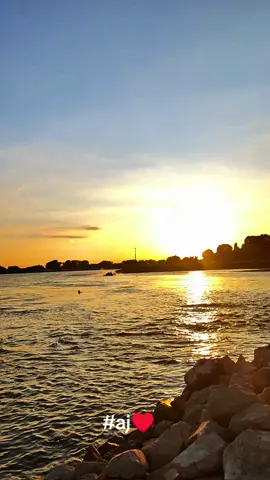 #aj♥️  وأنا لكتب على جبيني إسمك بالروح لولا بتوديني ع النار بروح قلبي يا نور عيني بحبك مذبوح قلبي يا نور عيني بحبك مذبوح #تصويري #germany #نجوى_كرم #habibi  @Najwa Karam 