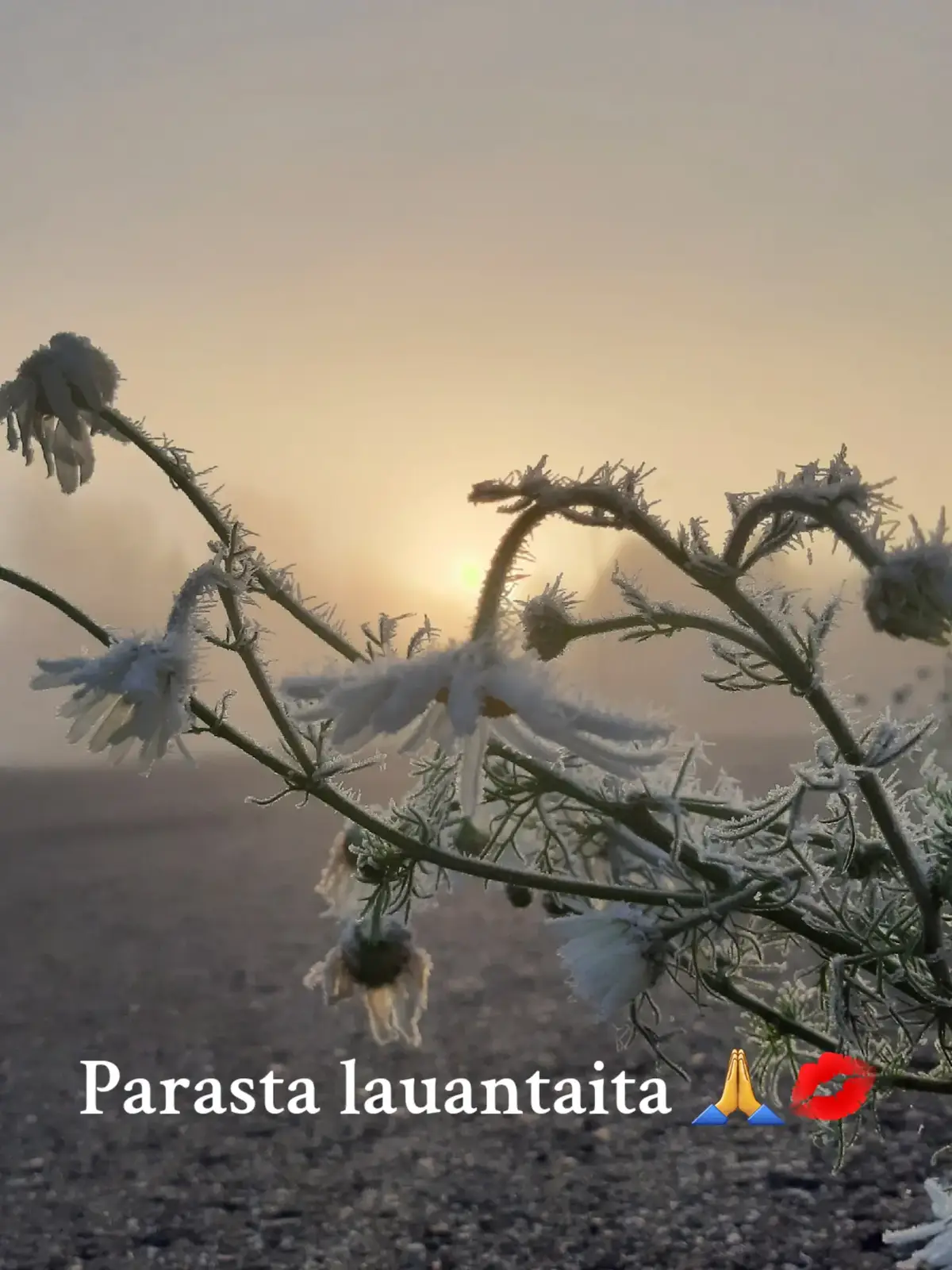 #saturday #morning #blessyouall ❤️‍🔥🙏