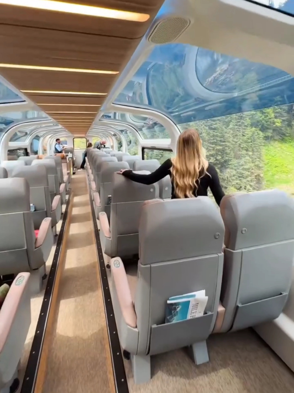 Unique Trains Of China 🤔🇨🇳 #train #monorail #china #skytrain #viral 