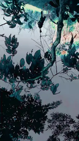 #🇵🇹🇮🇹🇧🇩🇧🇭❤️‍ #