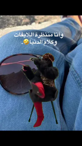 #MemeCut #Meme #MemeCut #tiktok #اكسبلور 