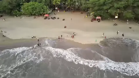 Agendakan Liburan Bersama Keluarga Dan Rombongan di Pantai Serang yuk .             #jelajahblitar #blitarhitz #blitarasyik #infoblitar #wisatapantai #dewaserang #pantaiserang #pemdesserang #wisatablitar #fyp @Mas Han @Blitar Land Of Kings @rjpermadi @Mshdppp_ 