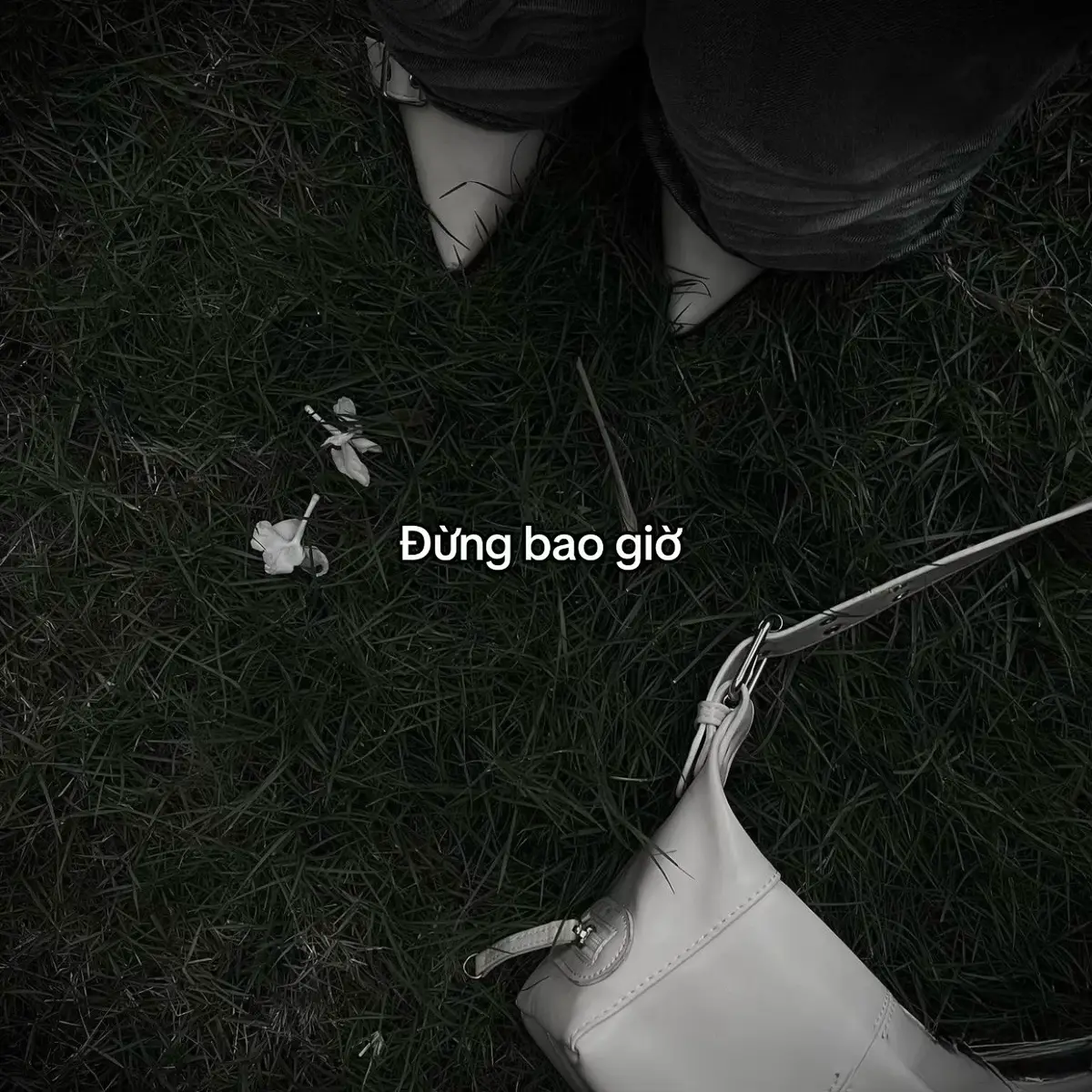 Đừng bao giờ….