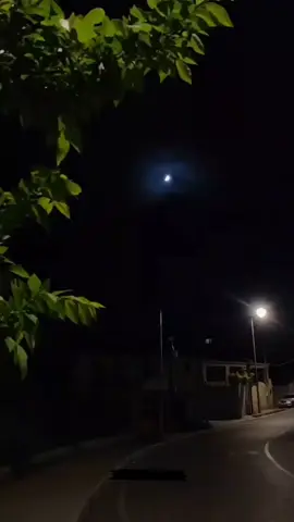 line 💯  #urduline #viral #urdupoetry #trend #shairy 