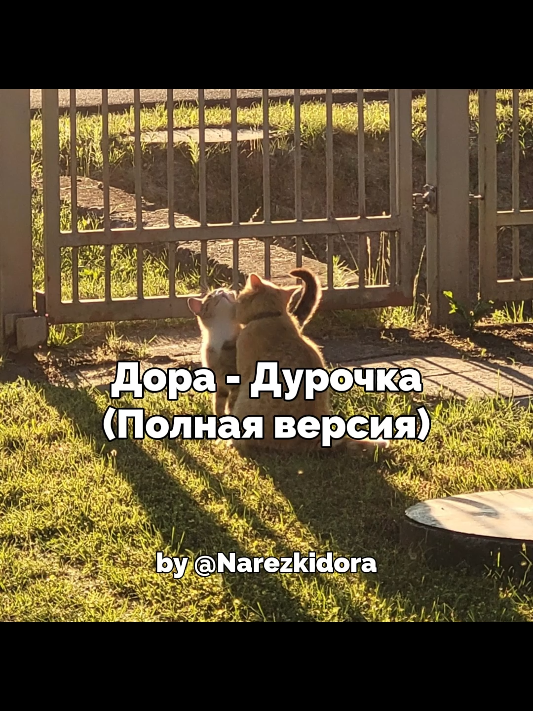 Видео будет разбито на части т.к. тик ток жалуется на авторское право, я не знаю что с этим делать, если можете помочь напишите мне#dora #даша #дора #дорамама #альбомдоры #lovesongs #miss #твич #core #рок #рокмузыка #кьютрок #cuterock #rockmusic #мэйбибэйби