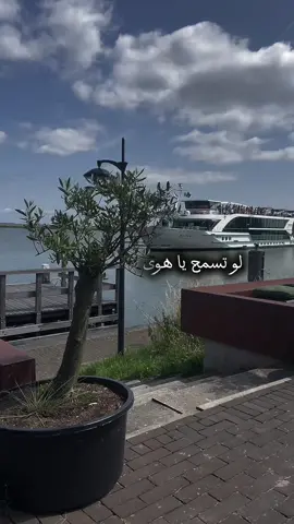 #CapCut كامل إيهاب #لو تسمح يا هوى #ملام وإحساس رائع👌#الشعب_الصيني_ماله_حل😂😂 