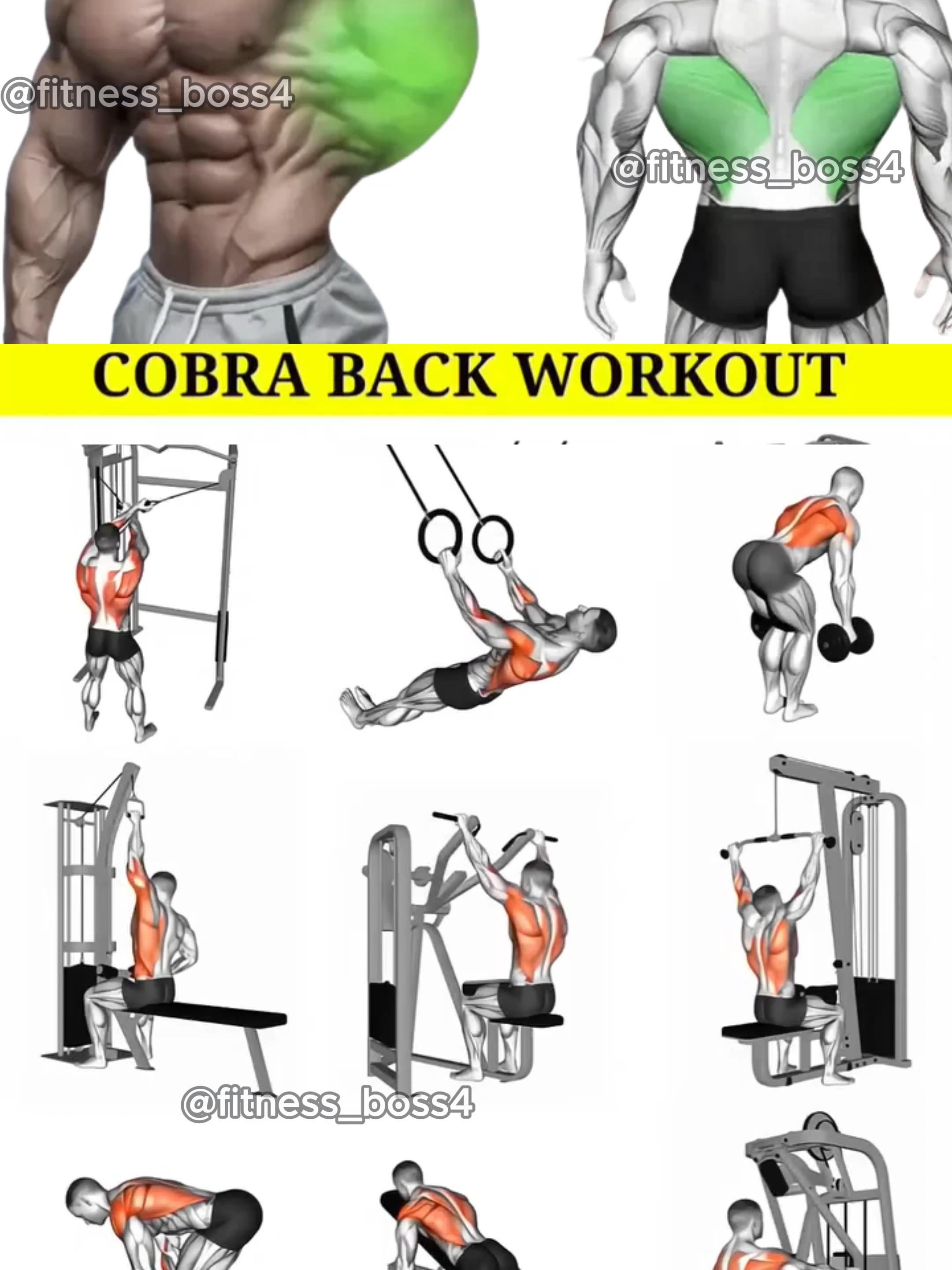 Ready to build that V-taper? 🔥 Add these killer moves to your next back day and feel the burn. Don't forget to save for later! 📌 #backday #backworkout #cobraback #vtaper #bodybuilding #muscle #fitnessmotivation #workout #gym #GymTok #Fitness #foryou #fyp #fitnesstips