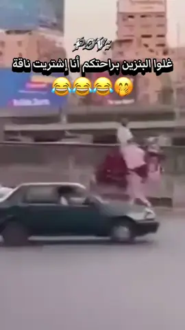 #Alarg53 #الشعب_الصيني_ماله_حل😂😂  #foru #fyppp   #foryoupage