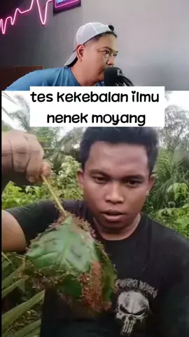 tes kekebalan