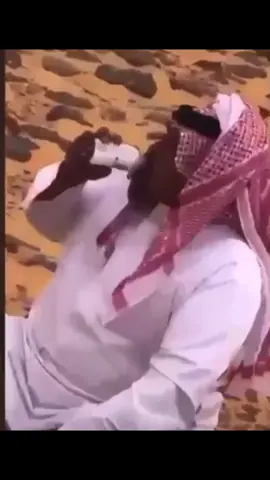 #اكسبلور #طبرجل #القريات #سكاكا #foryou #viral #الشعب_الصيني_ماله_حل😂😂 