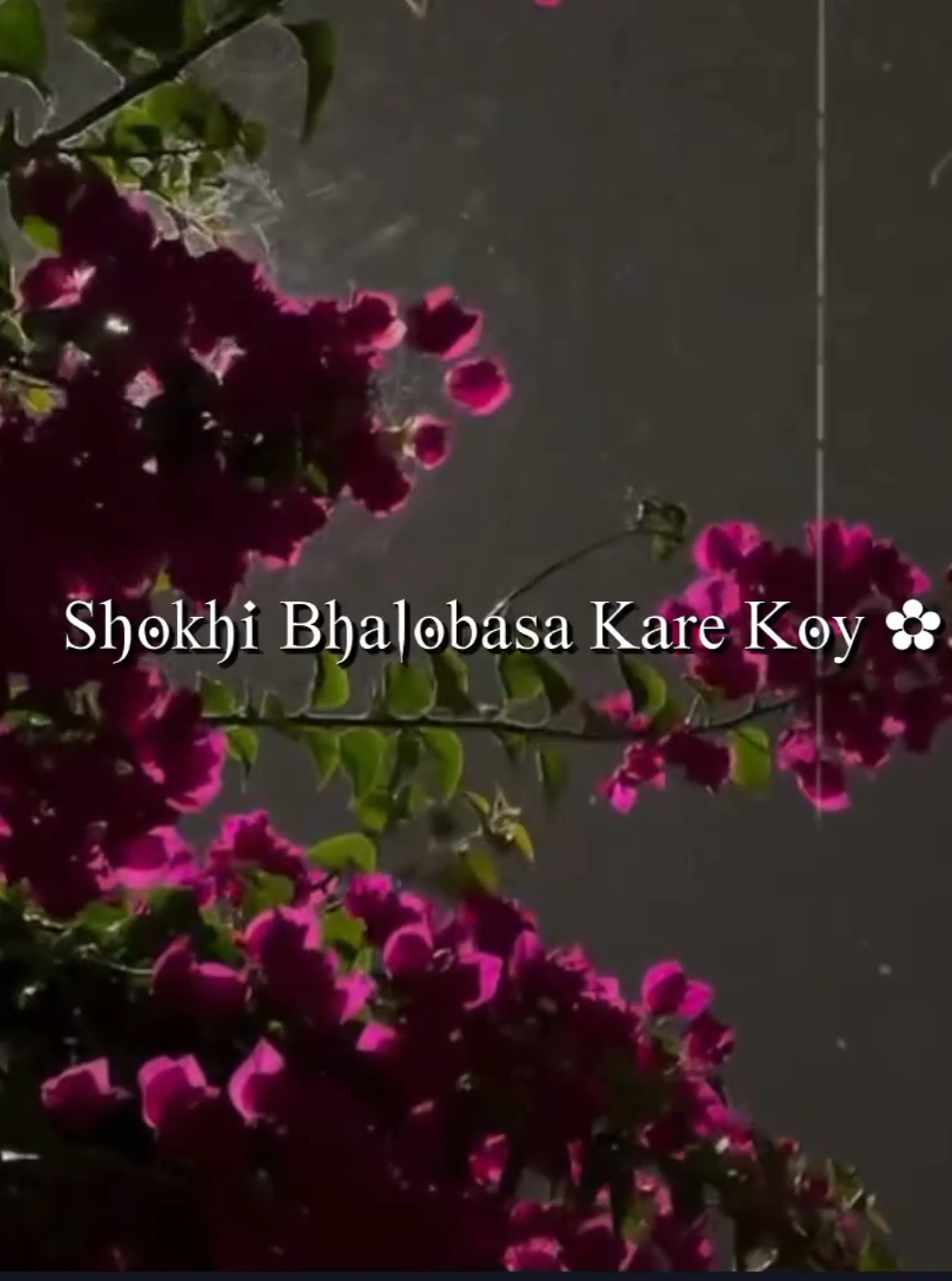 Sokhi Valobasha Kare Koy 